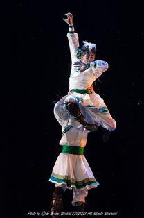 马跳舞视频在线观看,在线欣赏马跳舞的精彩瞬间 第3张 马跳舞视频在线观看,在线欣赏马跳舞的精彩瞬间 第3张